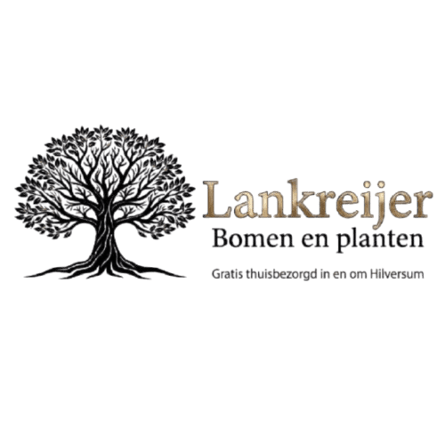 Lankreijer bomen, planten en meubels