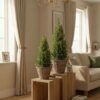 Conica kerstboompjes op houten bijzettafels in woonkamer Conica kerstboom in pot