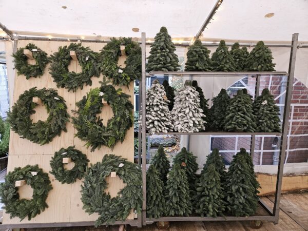 Kerstkransen deurkransen diverse maten lankreijer hilversum kerstkrans en deurkrans van Nobilis en gemengd kerstgroen te koop in Hilversum