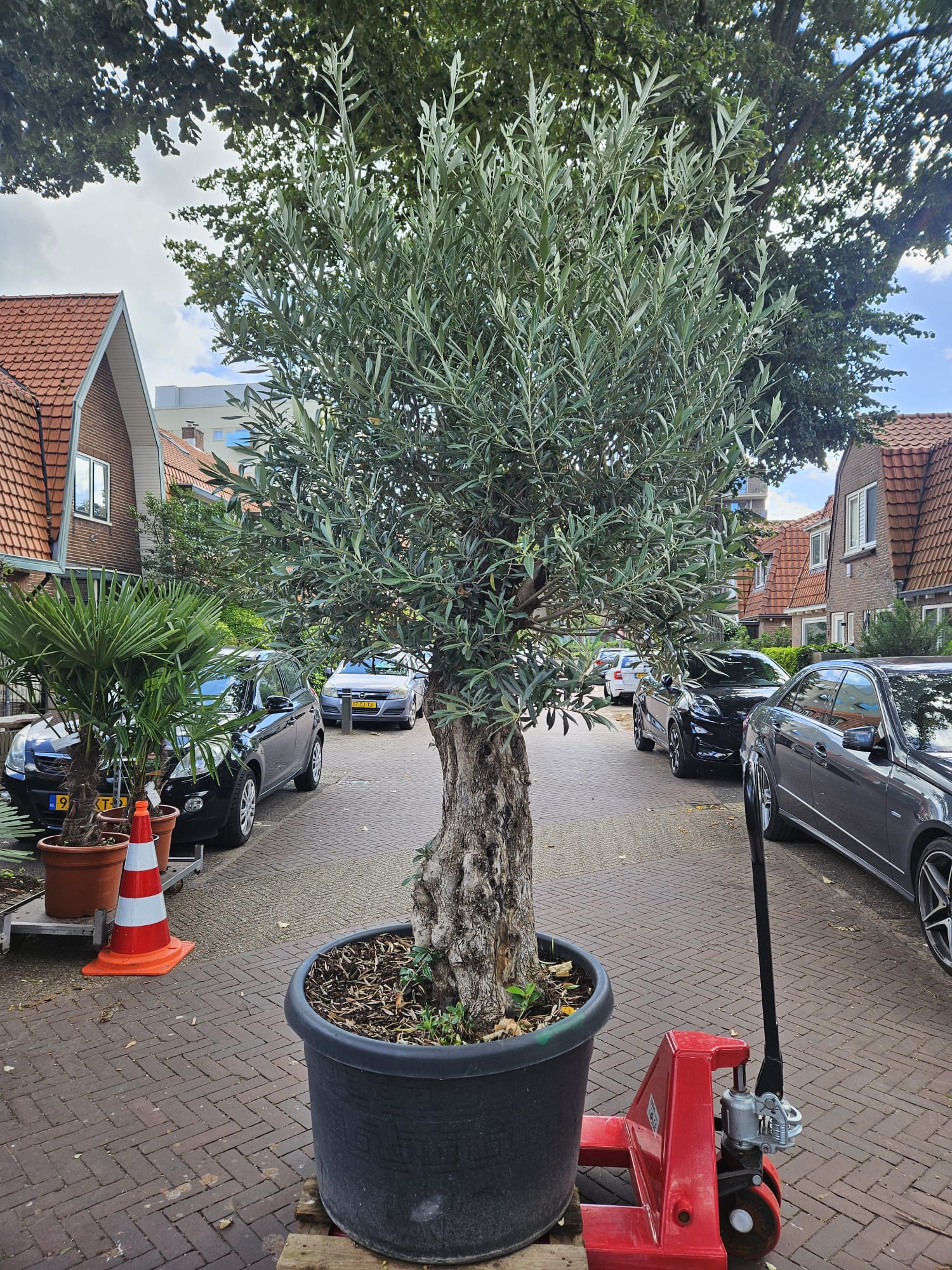 stapelbed steigerhout