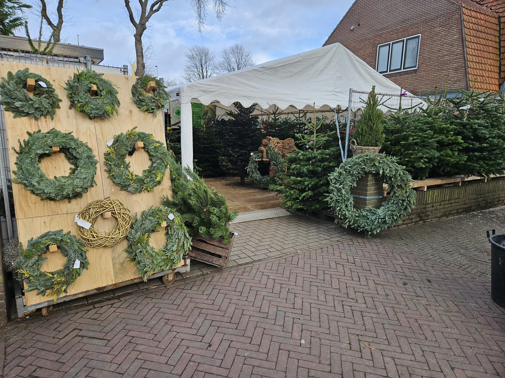 Duurzame nordmann kerstbomen kopen hilversum