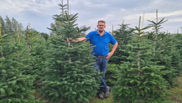 duurzame-nordmann-kerstboom-selectie-hilversum erse Nordmann kerstbomen te koop bij winkel Lankreijer aan de Cruquiusstraat 14 in Hilversum