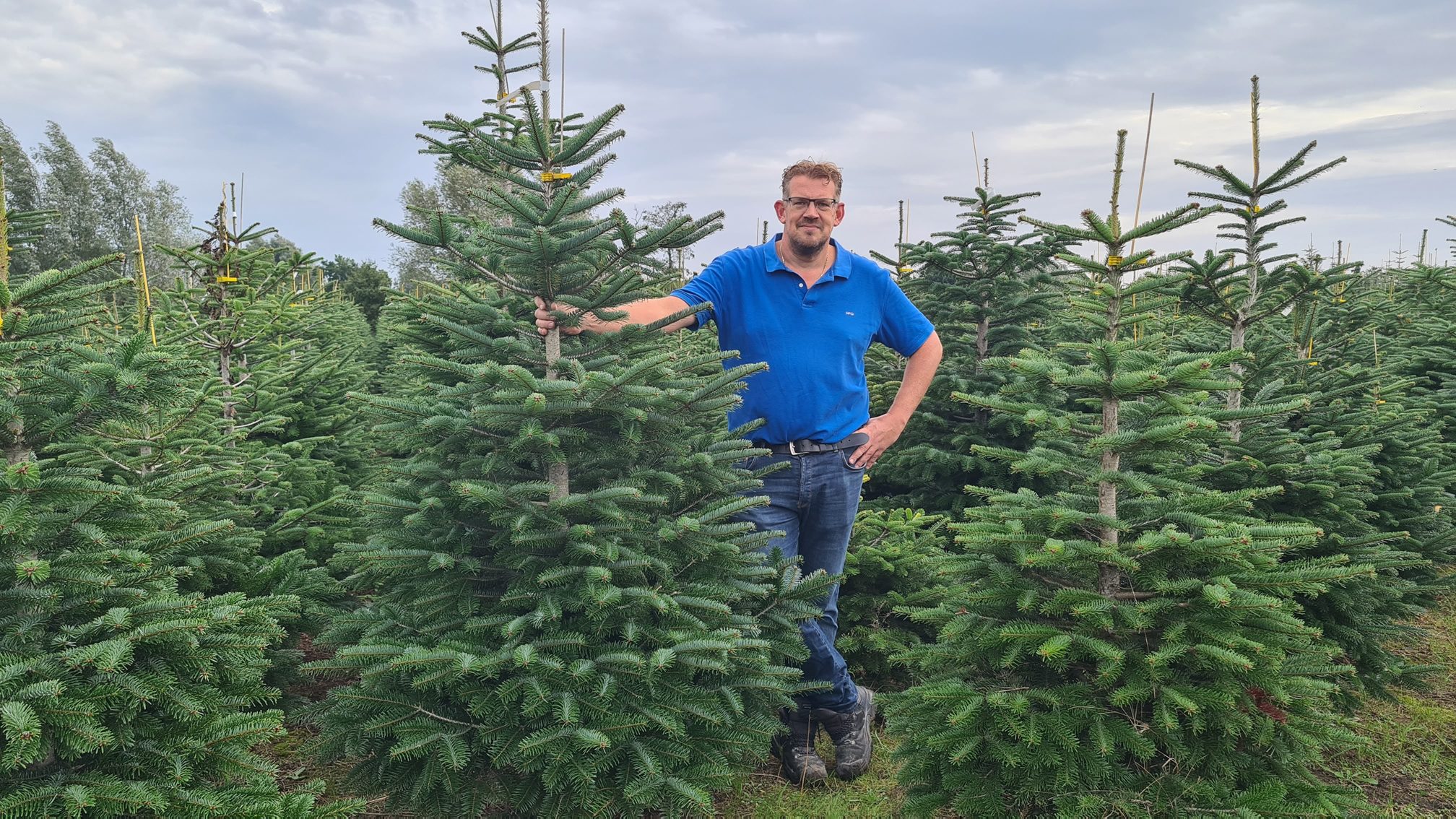 Verse Nordmann kerstbomen te koop bij winkel Lankreijer aan de Cruquiusstraat 14 in Hilversum