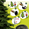 easyfix-boorgat-nordmann-kerstboom Nordmann Kerstboom