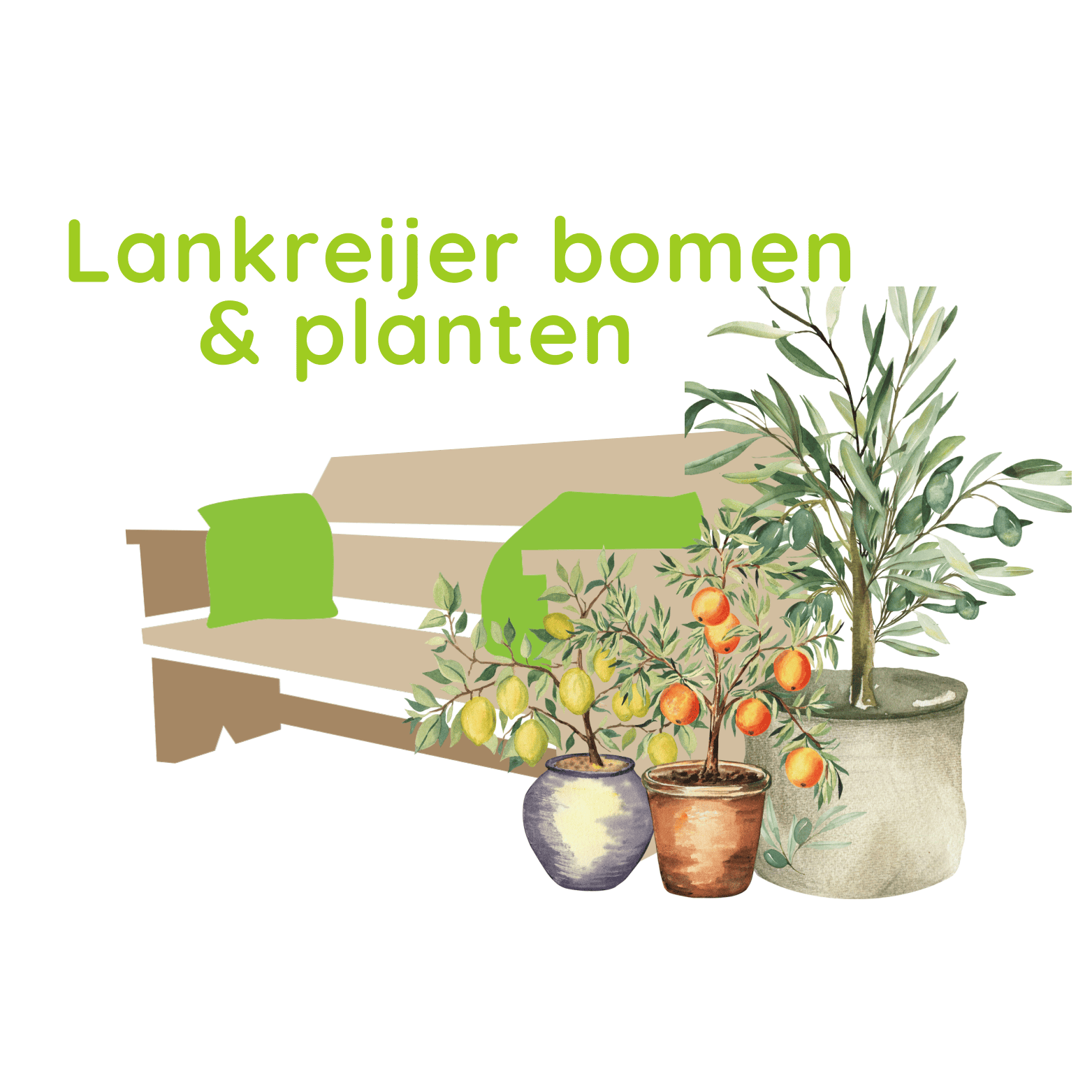 Lankreijer bomen, planten en meubels