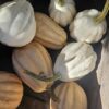 Langwerpige crèmewitte White en roze Acorn pompoenen in winkel in Hilversum